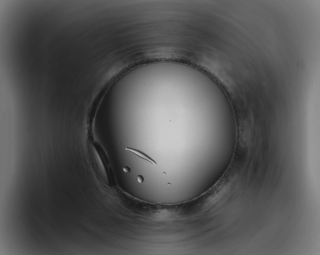 X0000096710111200802191516