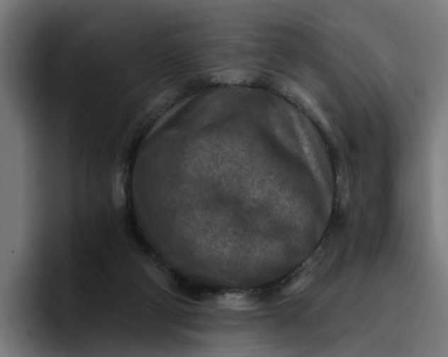 X0000096710114200802191516