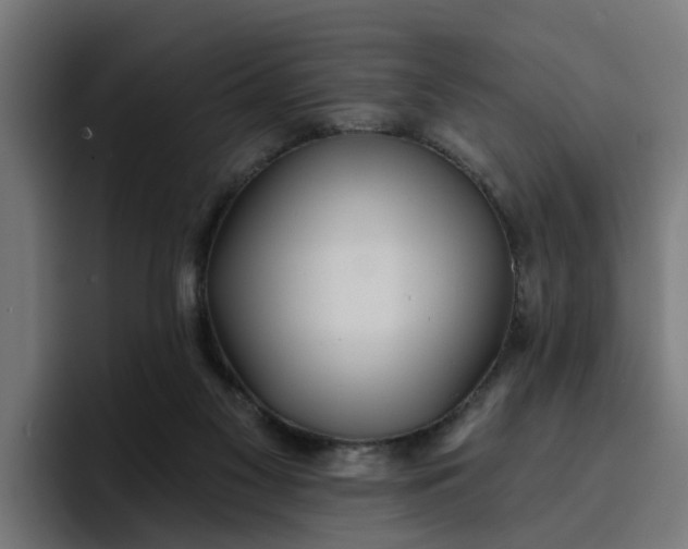 X0000096710117200802191516