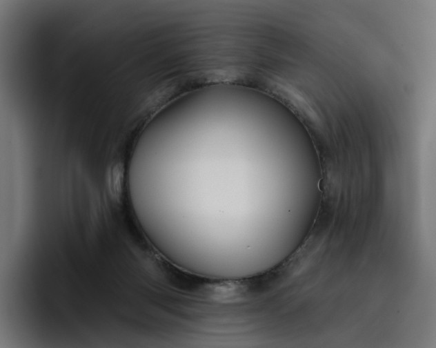 X0000096710118200802191516