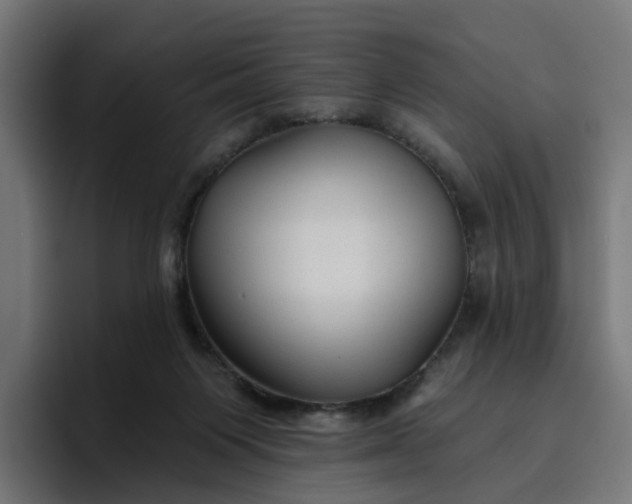 X0000096710119200802191516