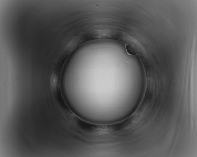 X0000096710123200802191516