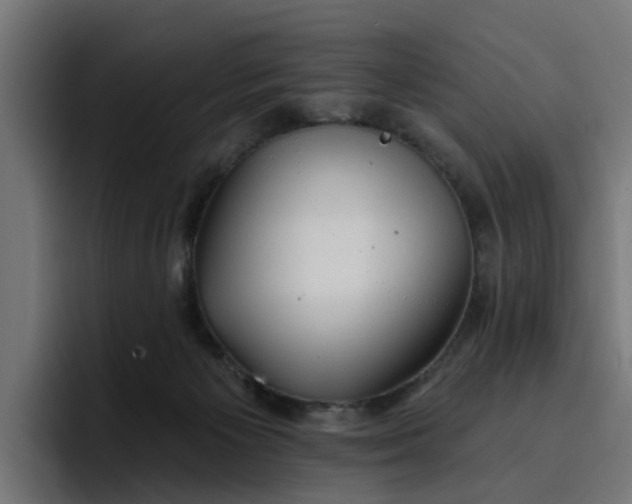 X0000096710125200802191516