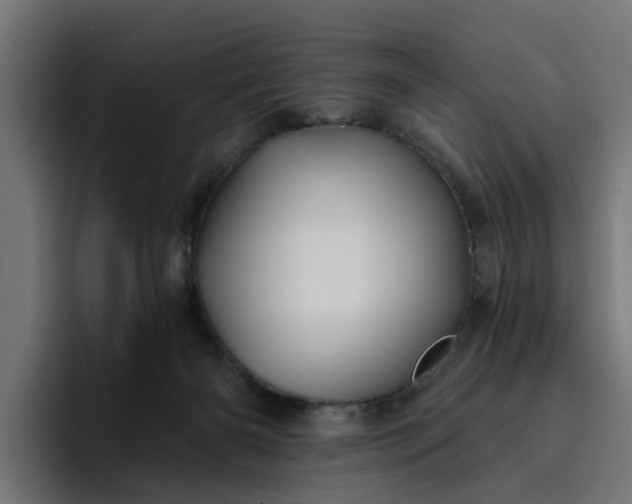 X0000096710126200802191516