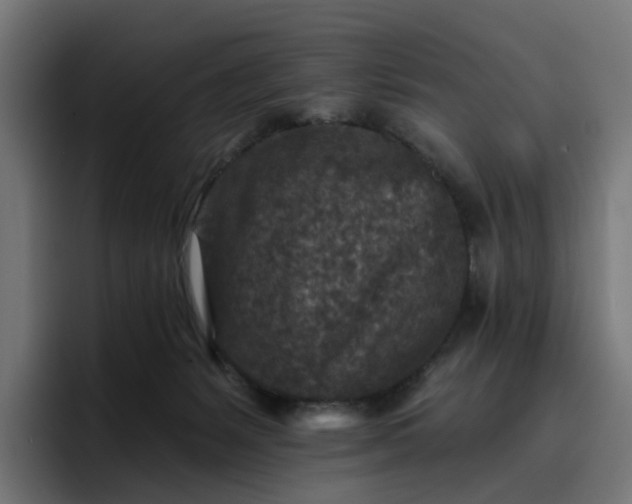 X0000096710127200802191516