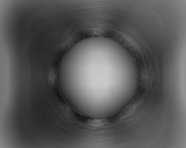 X0000096710129200802191516