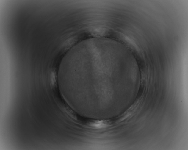 X0000096710130200802191516