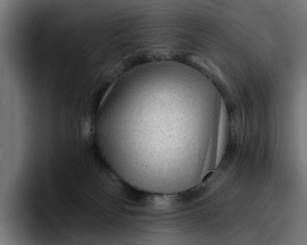 X0000096710134200802191516