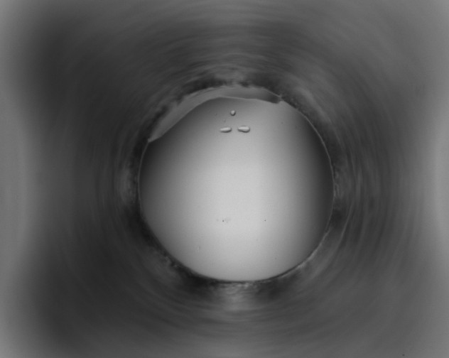 X0000096710136200802191516