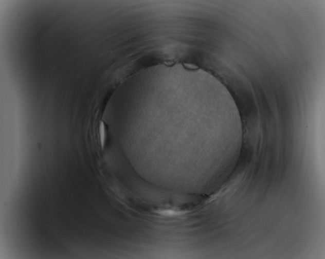 X0000096710137200802191516