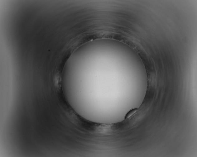 X0000096710138200802191516