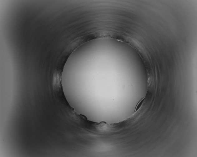 X0000096710142200802191516