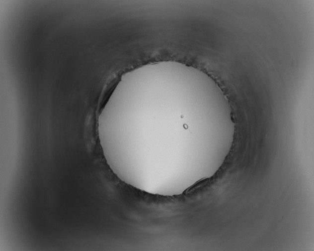 X0000096710144200802191516