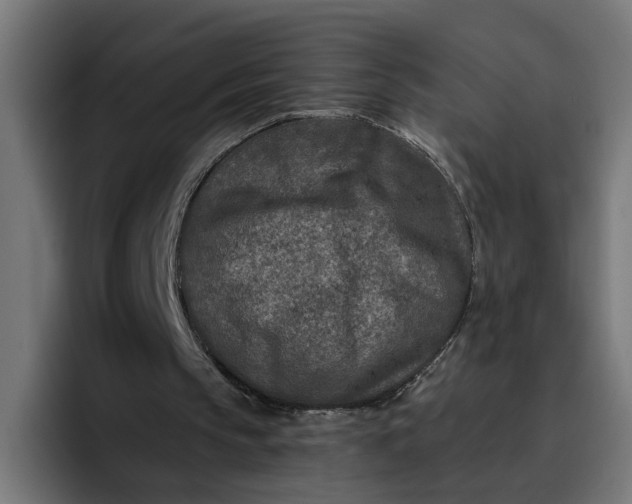 X0000096710145200802191515