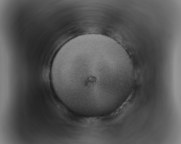 X0000096710146200802191515