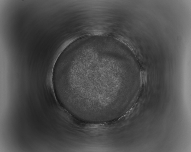 X0000096710147200802191515