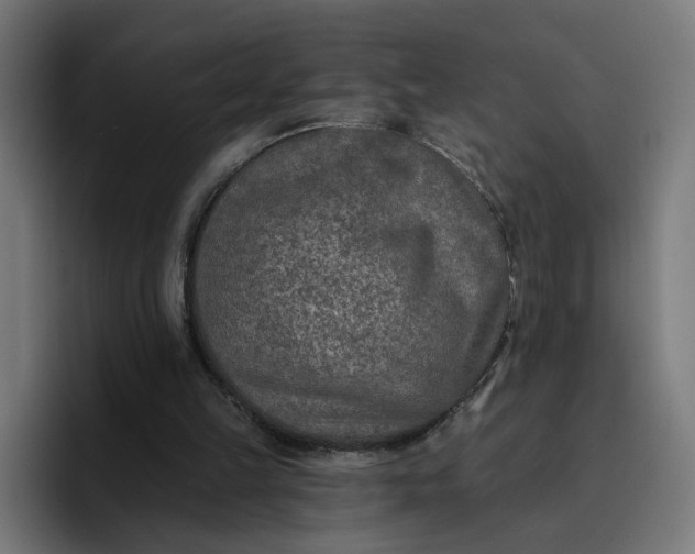 X0000096710149200802191515