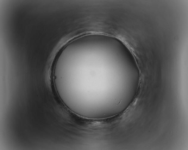 X0000096710151200802191515