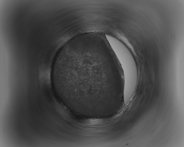 X0000096710154200802191515