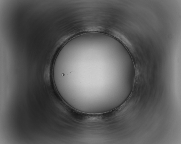 X0000096710155200802191515