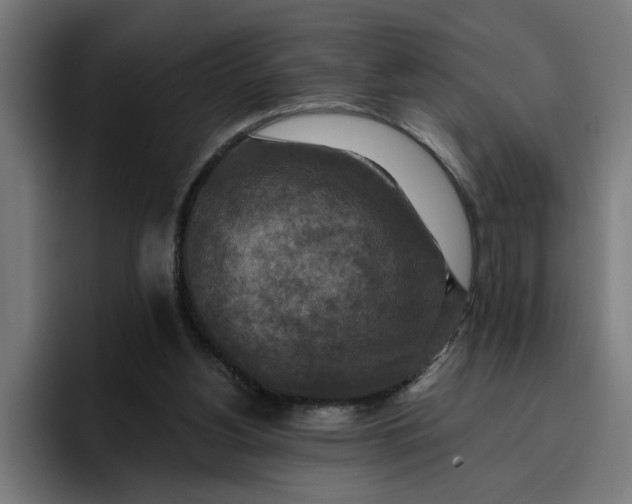 X0000096710156200802191515