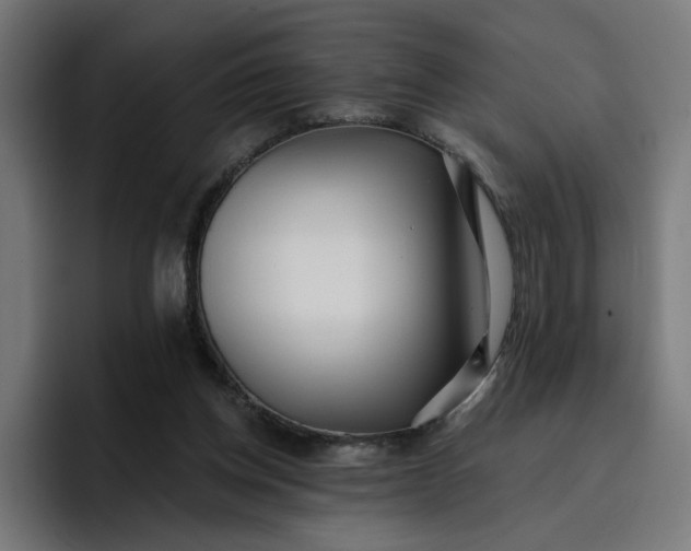 X0000096710158200802191515