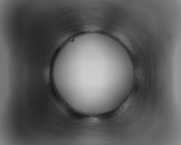 X0000096710159200802191515