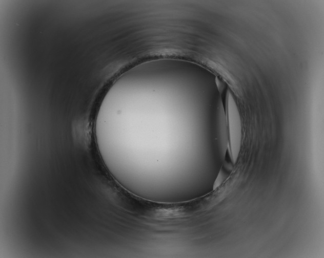 X0000096710160200802191515