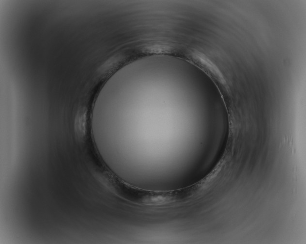 X0000096710163200802191515