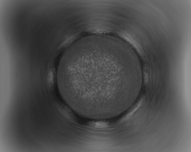 X0000096710165200802191515