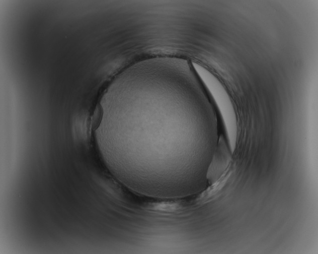 X0000096710168200802191515