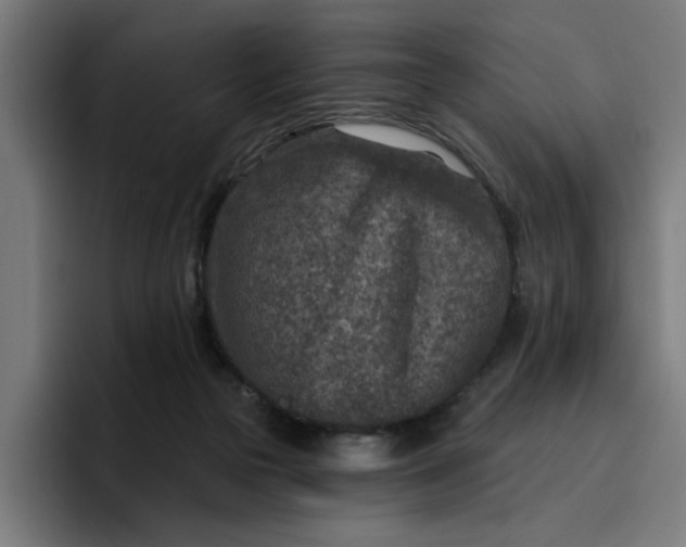 X0000096710169200802191515