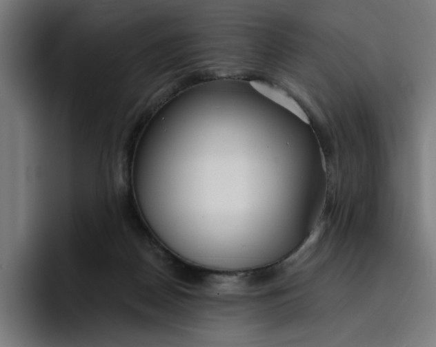 X0000096710170200802191515