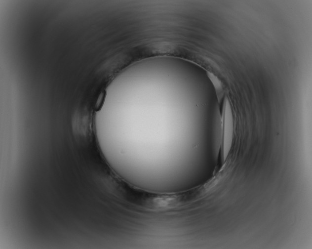 X0000096710172200802191515