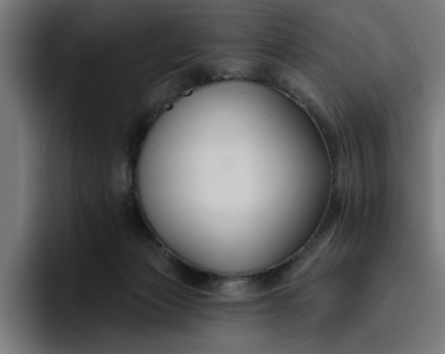 X0000096710173200802191515