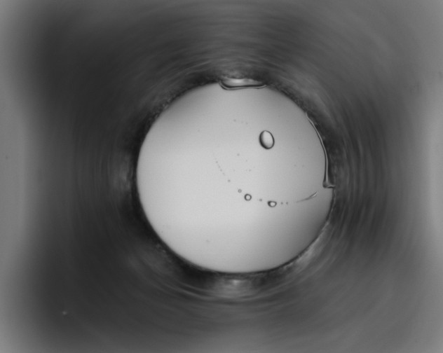 X0000096710174200802191515