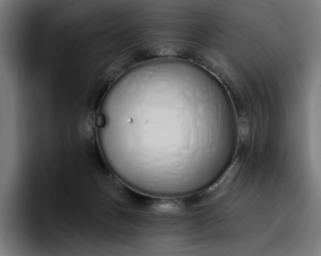 X0000096710175200802191515