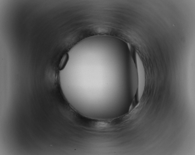 X0000096710176200802191515