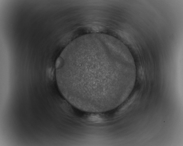 X0000096710177200802191515