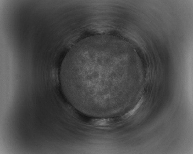 X0000096710182200802191515