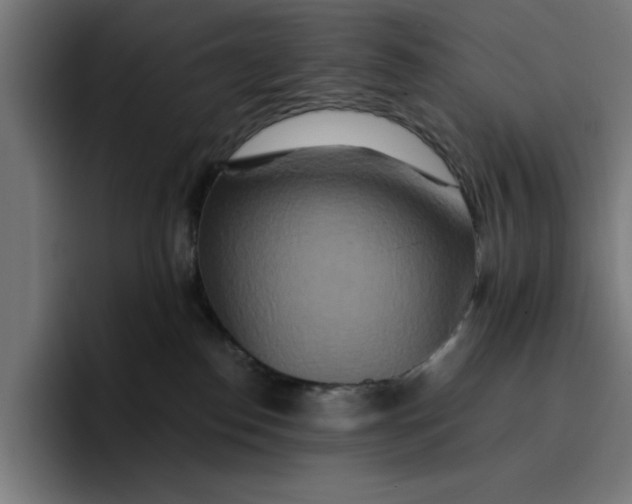 X0000096710186200802191515