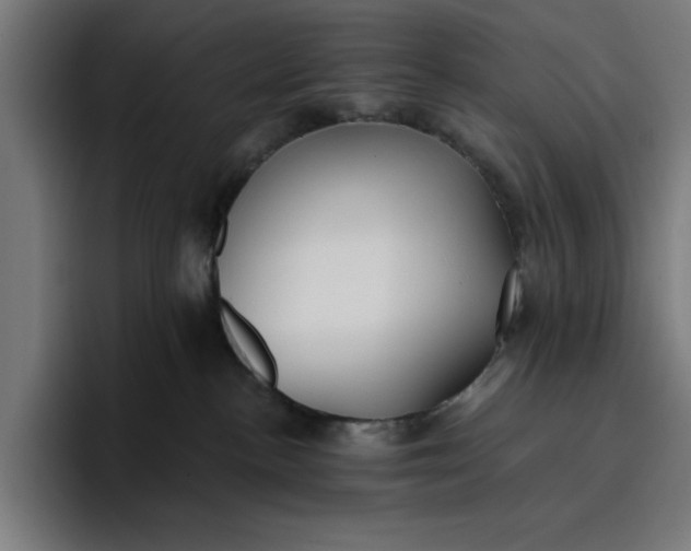 X0000096710188200802191516