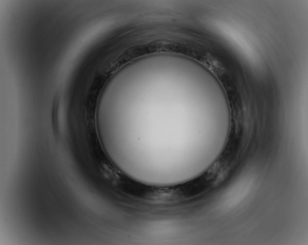 X0000096710189200802191516