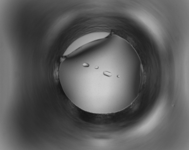 X0000096710190200802191516