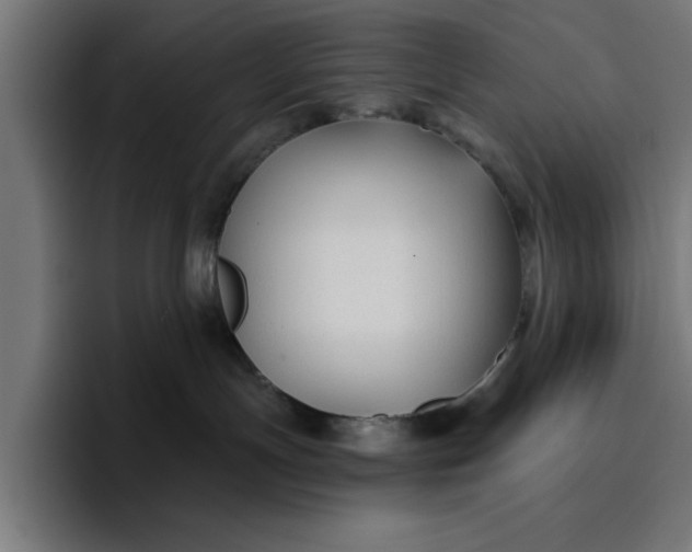 X0000096710191200802191516