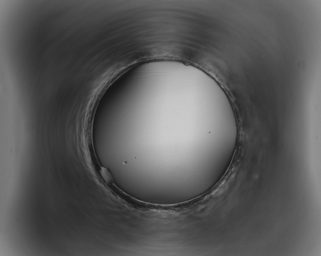 X0000096710193200802191515