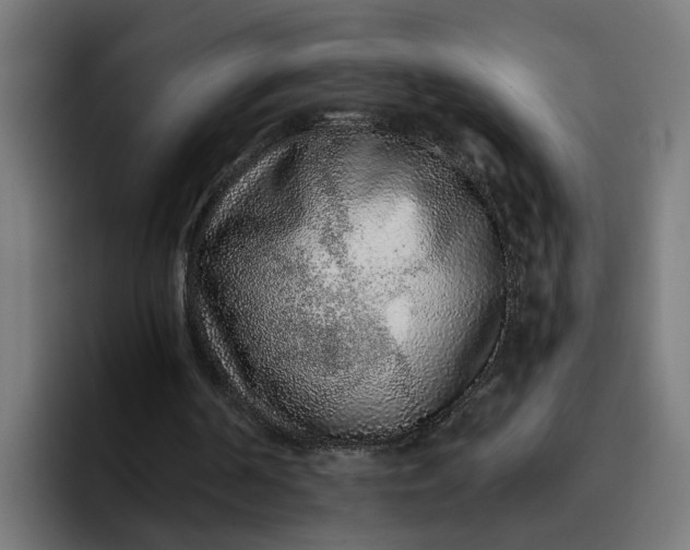 X0000096710194200802191515