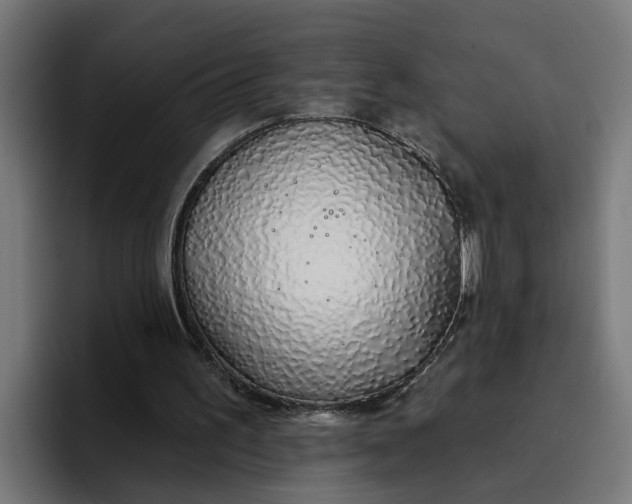 X0000096710195200802191515