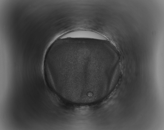 X0000096710196200802191515