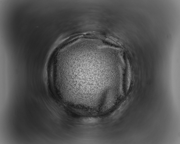 X0000096710198200802191515